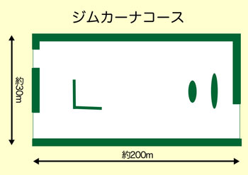 Gymkhana Course �}