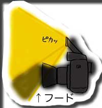 �摜 �t���b�V�� �t�[�h �P����