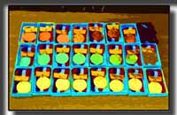 �摜 ���_��