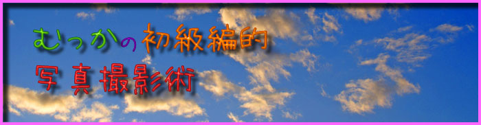 title �ނ����̏����ғI �ʐ^�B�e�p