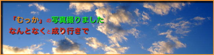 title �ނ����̎ʐ^�B��܂��� �Ȃ�ƂȂ��Ɛ���s����