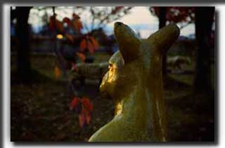 photo �ʐ^ �X�i�b�v