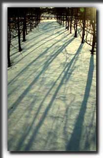 photo �ʐ^ ���i