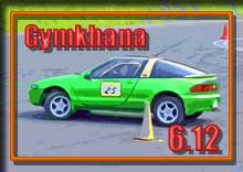 �y�ʐ^�z2011 �ؒJ���W���J�[�i���s��/�V���[�Y��P��i�J����jphoto �摜/�T�[�L�b�g�p�[�N�ؒJ��