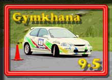 photo �ʐ^ 2004���덂���W���J�[�i ���s��V���[�Y ��Q��