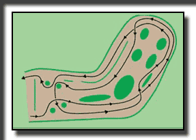 dirt trial course/Sport Highland 新郷
