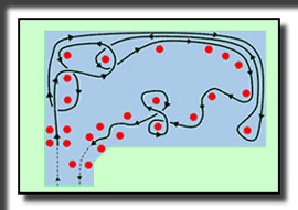 gymkhana course