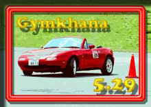 photo �ʐ^ 2005���덂���W���J�[�i ���s��V���[�Y ��P��