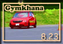 photo �ʐ^ 2009 �ؒJ�� �W���J�[�i ���s�� �V���[�Y ��Q��