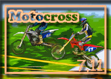 photo �ʐ^ 2010 ���k���g�N���X�I�茠 �V���[�Y ��T��/�X���i���g�p�[�N 338/�O��j