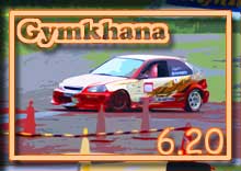 photo �ʐ^ 2010 �ؒJ�� �W���J�[�i ���s�� �V���[�Y ��Q��