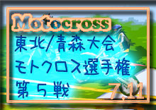 photo �ʐ^ 2010 ���k���g�N���X�I�茠 �V���[�Y ��T��/�X���i���g�p�[�N 338/�O��j