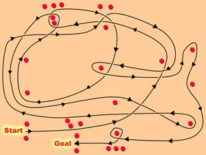 gymkhana course 岩木山百沢スキー場駐車場