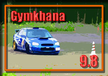 �y�ʐ^�z2013 CMSC�X�W���J�[�i��JMRC���k �W���J�[�i�V���[�Y/��V�� photo �摜/��؎R�X�L�[�꒓�ԏ�