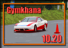 �摜 photo �ʐ^ 2013 �T�[�L�b�g�p�[�N�ؒJ�� �W���J�[�i �V���[�Y ��R��i�ŏI��j