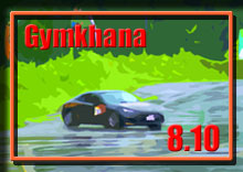 �ʐ^ photo �摜 2014 �ؒJ�� �W���J�[�i���s�� �V���[�Y ��Q��