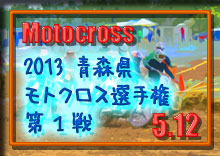 �y�ʐ^�z2013 �X�����g�N���X�I�茠/��P��i�J����j�~�T���r�[�h���J�b�v photo �摜/���g�p�[�N338