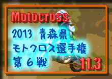 �ʐ^ 2013 �X�� ���g�N���X�I�茠 ��U��i�ŏI��j�� �\�a�c�J�b�v�i�\�a�c�X�|�[�c�����h�jphoto �摜