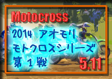 �摜 photo �ʐ^ 2014 �A�I�������g�N���X �V���[�Y ��P��i�J����j�~�T�� �r�[�h���J�b�v ���g�p�[�N338/�O��