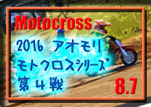 �y�ʐ^�z2016 �A�I�������g�N���X/�V���[�Y��S��/�r�[�h���J�b�v/���g�p�[�N338 photo �摜