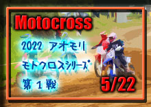 �y�ʐ^�z2022 �A�I�������g�N���X/��P��A�~�T���r�[�h���J�b�v photo �摜/���g�p�[�N338�i�O��s�j