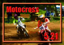 �y�ʐ^�z2017 �A�I���� ���g�N���X�V���[�Y ��P�� ���g�p�[�N338 photo �摜