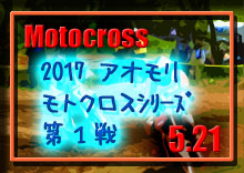 �y�ʐ^�z2017 �A�I���� ���g�N���X�V���[�Y ��P�� ���g�p�[�N338 photo �摜